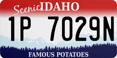 ID license plate 1P7029N