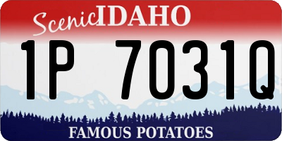 ID license plate 1P7031Q