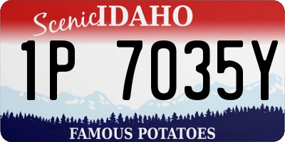 ID license plate 1P7035Y