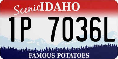 ID license plate 1P7036L
