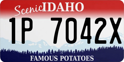ID license plate 1P7042X