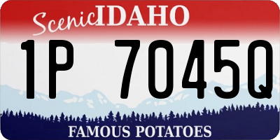 ID license plate 1P7045Q