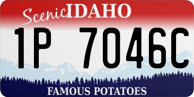 ID license plate 1P7046C
