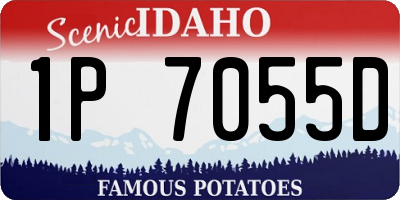 ID license plate 1P7055D