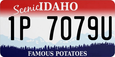 ID license plate 1P7079U
