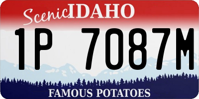ID license plate 1P7087M