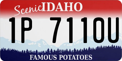 ID license plate 1P7110U
