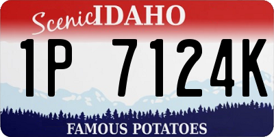 ID license plate 1P7124K