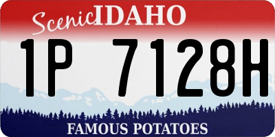 ID license plate 1P7128H