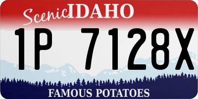 ID license plate 1P7128X