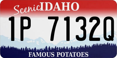 ID license plate 1P7132Q