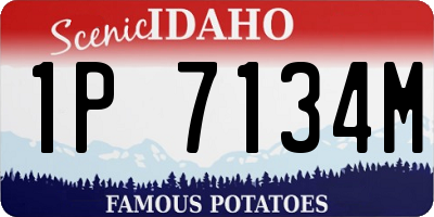 ID license plate 1P7134M