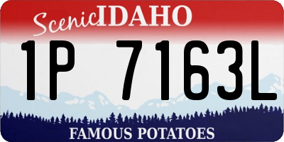 ID license plate 1P7163L