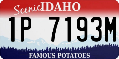 ID license plate 1P7193M