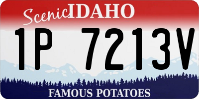 ID license plate 1P7213V