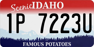 ID license plate 1P7223U
