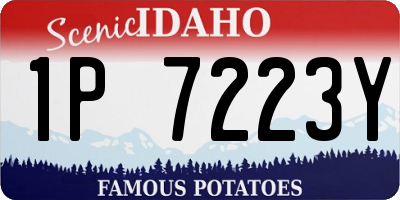 ID license plate 1P7223Y