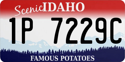 ID license plate 1P7229C