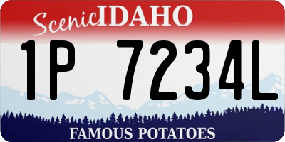 ID license plate 1P7234L