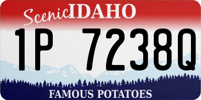 ID license plate 1P7238Q