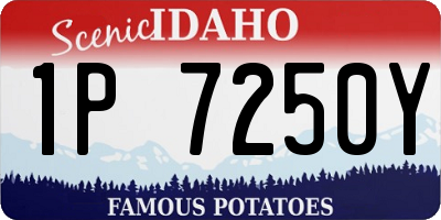 ID license plate 1P7250Y