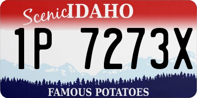 ID license plate 1P7273X