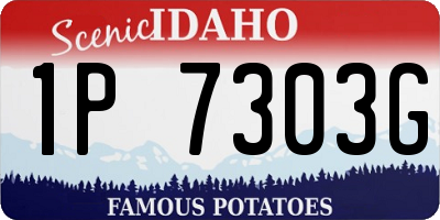 ID license plate 1P7303G