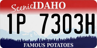 ID license plate 1P7303H