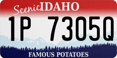 ID license plate 1P7305Q