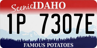 ID license plate 1P7307E