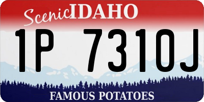 ID license plate 1P7310J