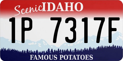 ID license plate 1P7317F