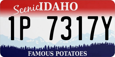 ID license plate 1P7317Y