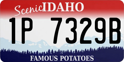 ID license plate 1P7329B