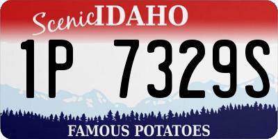 ID license plate 1P7329S
