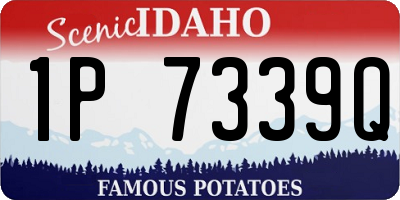 ID license plate 1P7339Q