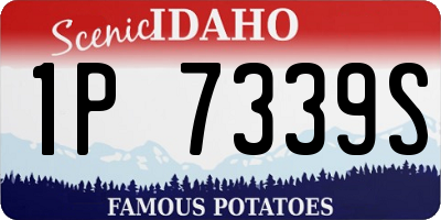 ID license plate 1P7339S