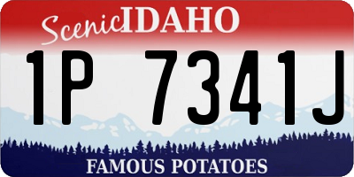ID license plate 1P7341J