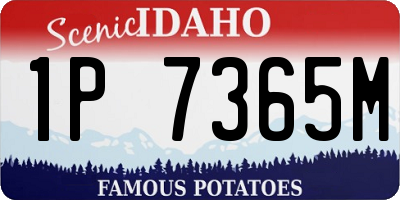 ID license plate 1P7365M