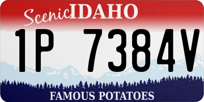 ID license plate 1P7384V