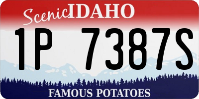 ID license plate 1P7387S