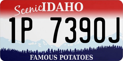 ID license plate 1P7390J