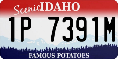 ID license plate 1P7391M