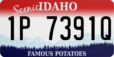 ID license plate 1P7391Q