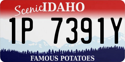 ID license plate 1P7391Y