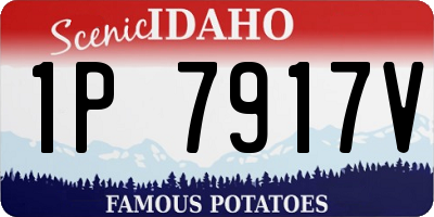 ID license plate 1P7917V