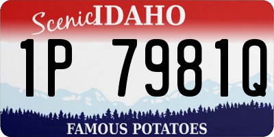 ID license plate 1P7981Q