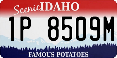ID license plate 1P8509M