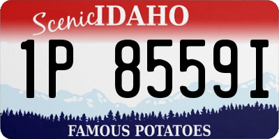 ID license plate 1P8559I