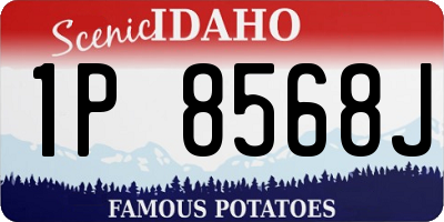 ID license plate 1P8568J